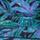 Color: Blue Oasis