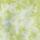 Color: Galactic Lemongrass