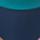 Color: Coastal