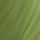 Color: Foliage/Nori
