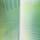 Color: Dark Green/Off White