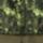 Color: Stone Green/Timberwild