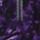 Color: Peak Purple 3d Summit Mesh
