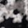 Color: Black/Dye Flower