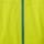 Color: Apex Moss