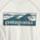 Color: Boardshort Logo Tones/White