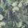 Color: Duck Green Prairie
