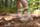 Color: Desert Clay/Flat Taupe/Red