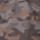 Color: Bark