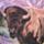 Color: High Country Bison