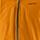 Color: Autumn Orange