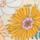 Color: Blossom