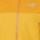 Color: Nucleus/Larch