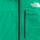 Color: Nebula Green