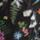 Color: Tnf Black Alpine Floral Print