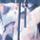 Color: Ensign Blue