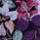 Color: Foliage/Black Multi