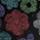 Color: Airbrush Flowers/Black Multi