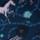 Color: Horses/Indigo Multi