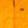 Color: Gold Nebula