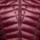 Color: Redwood
