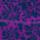 Color: Flower Bed