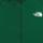 Color: Apex Green