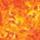 Color: Tie Dye Yellow/Orange