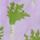 Color: Daikon