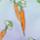 Color: Carrots