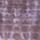 Color: Purple Sage Prismatic Print
