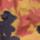 Color: Sundown Gold Blissed Dye Print