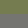 Color: Iguana/Silver