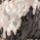 Color: Greycamo