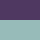 Color: Vivid Purple