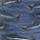 Color: Holy Mackrel/Washed Indigo
