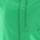 Color: Parakeet
