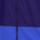 Color: Electra/Soulsonic