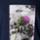 Color: Navy/Wanderlust Floral