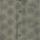Color: Olive Ray Print