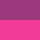 Color: White/Purple Cactus Flower