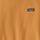 Color: Dried Mango