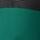 Color: Rei Green