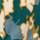 Color: Woodlands Wisp Gray