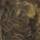 Color: Earth Topo