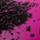 Color: Neon Pink Surge
