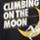 Color: Black/Yellow