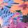 Color: Black Tropidelic