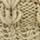 Color: Beige