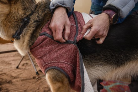 Ruffwear Hemp Hound Sweater 7
